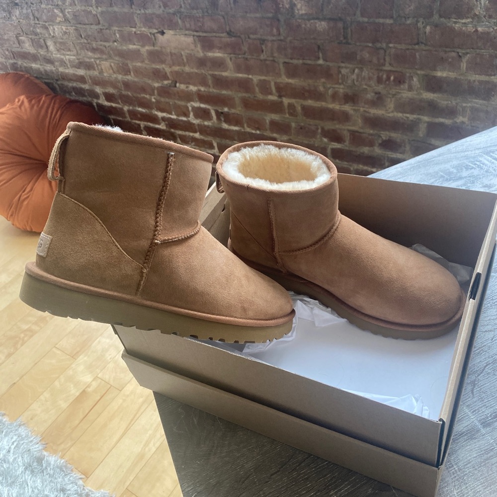 NEW in box, mini ugg in chestnut